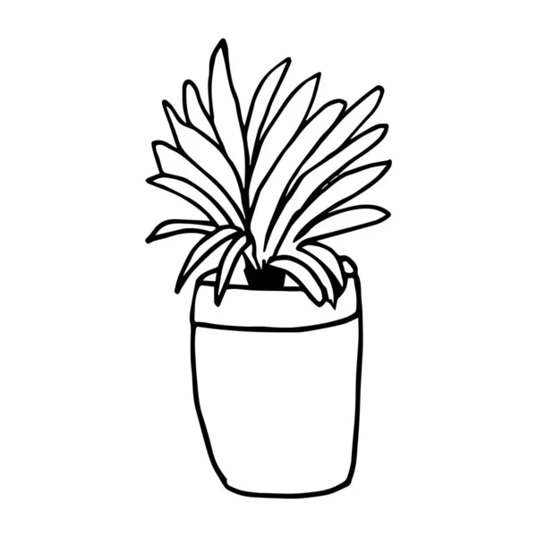 Woonplant in de pot in doodle stijl. Handgetekende potplant voor thuis. Met de hand getekend eenvoudige zwarte schets vector illustratie in cartoon doodle stijl, geïsoleerd. Tuinieren — Stockvector