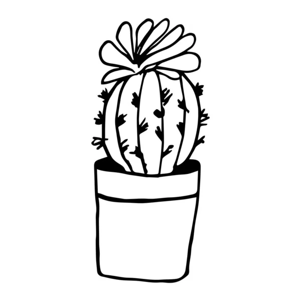 Woonplant in de pot in doodle stijl. Handgetekende potplant voor thuis. Met de hand getekend eenvoudige zwarte schets vector illustratie in cartoon doodle stijl, geïsoleerd. Tuinieren — Stockvector