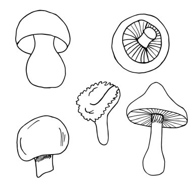 Tatlı mantarları karalama tarzında yerleştir. Siyah ve beyaz vektör çizimi. Sonbahar dekorasyonu. Orman mantarı. Beyaz arka planda izole edilmiş. Renklendirme sayfaları, taslak, özet