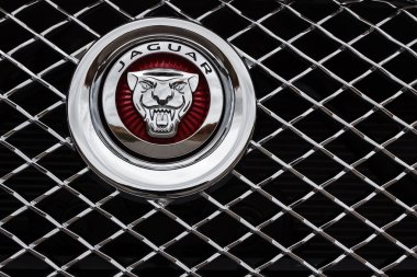 Gündüz, araba Jaguar şirket amblemi