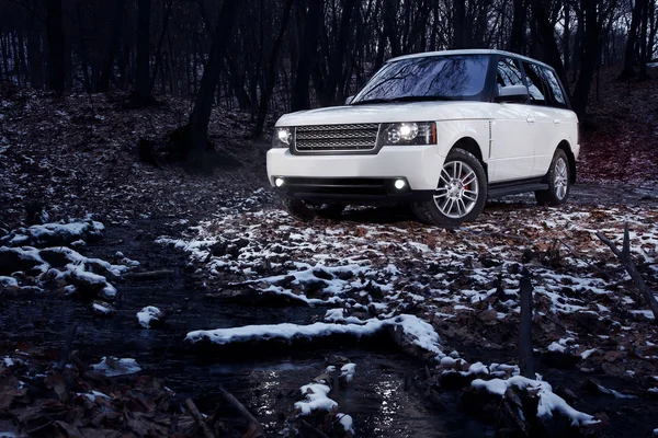 White premium car stay in forest at twilight — Stock Photo, Image