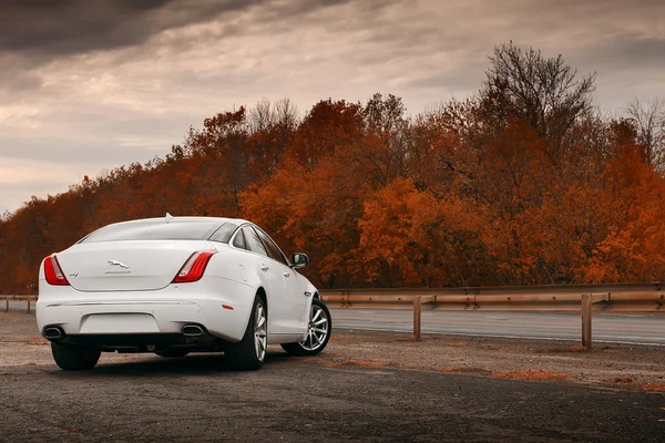 Whtie Jaguar XJ coche permanecer en camino de asfalto húmedo en el día —  Fotos de Stock