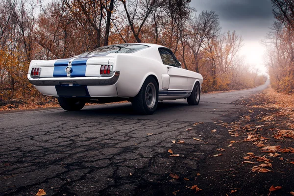 昼間では、道路上に古い車フォード マスタング シェルビー Gt350 — ストック写真