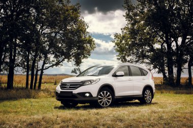 Araba Honda Cr-V gündüz orman yakınındaki kırsal yolda standı