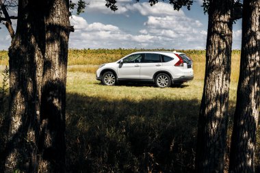 Araba Honda Cr-V gündüz orman yakınındaki kırsal yolda standı