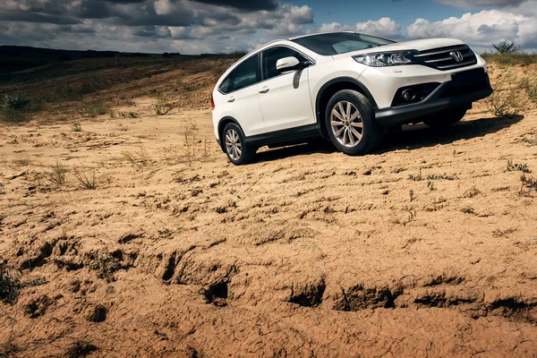 Car Honda CR-V stand at countryside road near forest at daytime — Stock Photo, Image