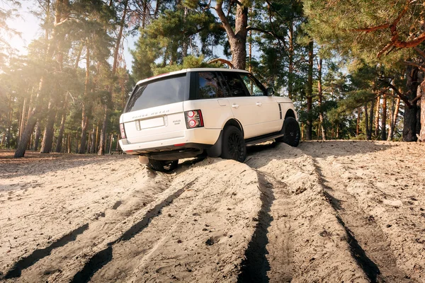 Car Land Rover Range Rover de pie en la arena cerca del bosque durante el día —  Fotos de Stock