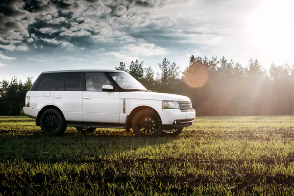 Car Land Rover Range Rover stand on green field near forest at sunset — Stock Photo, Image