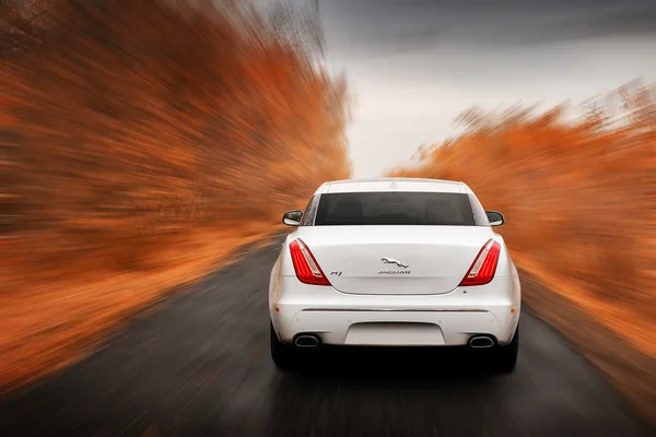 Coche blanco Jaguar XJ conducir en carretera de asfalto en otoño durante el día —  Fotos de Stock