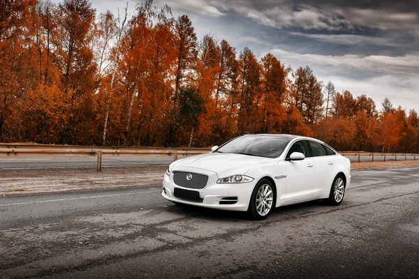 Branco Jaguar XJ carro stand na estrada de asfalto molhado durante o dia — Fotografia de Stock