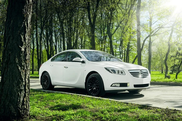 Auto Opel Insignia stojan na asfaltovou silnici v zeleném lese ve dne — Stock fotografie