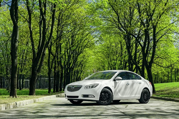 Auto Opel Insignia stand su strada asfaltata nella foresta verde durante il giorno — Foto Stock