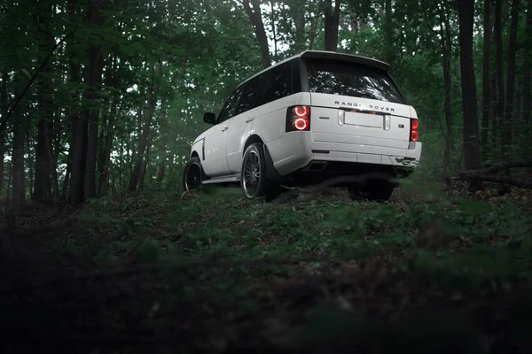 Білий автомобіля, що стоїть в лісовій дорозі в денний час — стокове фото