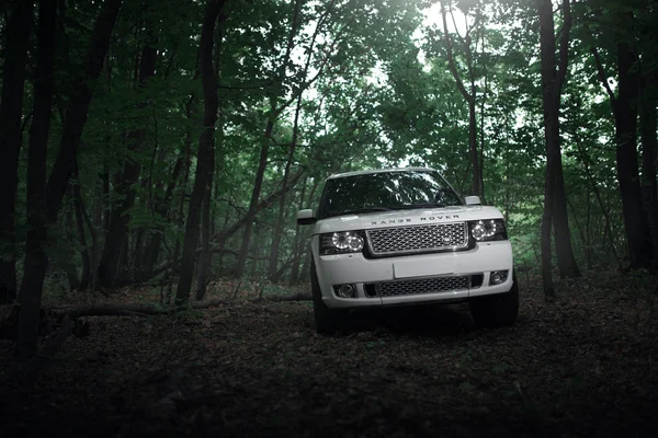 Gündüz, orman yolu beyaz araba ayakta — Stok fotoğraf