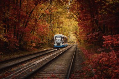 Golden Forest Sonbahar Tüneli 'nde tramvay. Moskova, Rusya 'da elektrik taşımacılığı