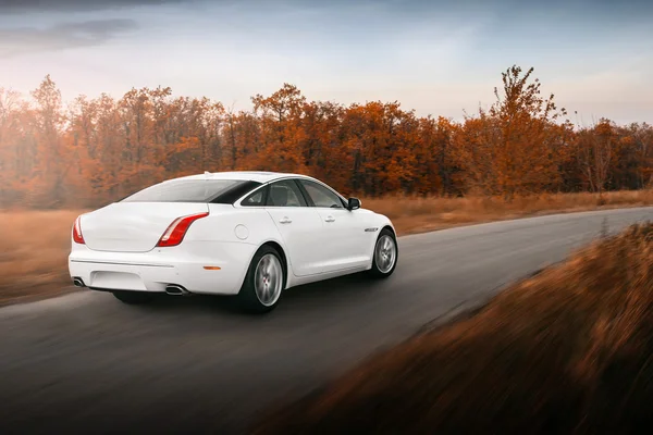 Car drive speed fast on the road at sunset jaguar