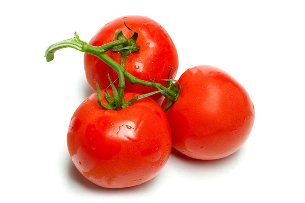 Tomater gäng isolerade på vit bakgrund — Stockfoto