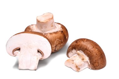 Beyaz arka planda izole edilmiş taze şampiyon mantarları.