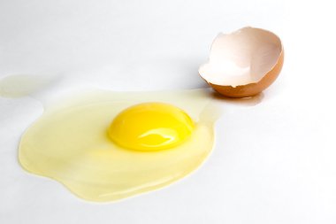 kırık yumurta