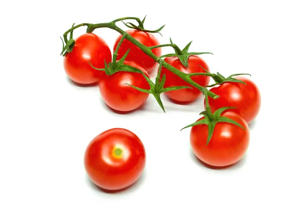 Beyaz arka planda izole edilmiş domatesler. — Stok fotoğraf