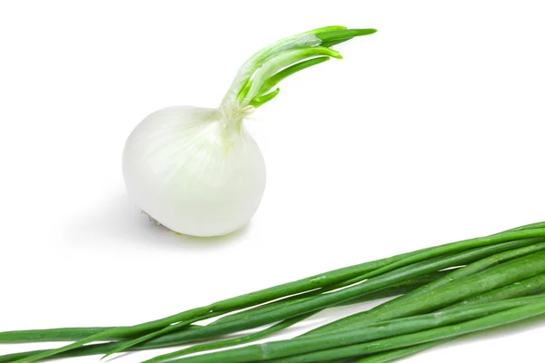 Some onions assorted isolate on a white background — Stock Photo, Image