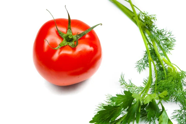 Tomat och örter isolerad på vit bakgrund — Stockfoto