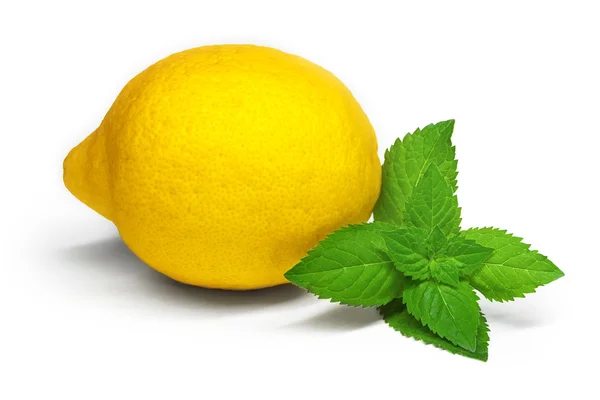 Limão isolado com hortelã sobre fundo branco — Fotografia de Stock