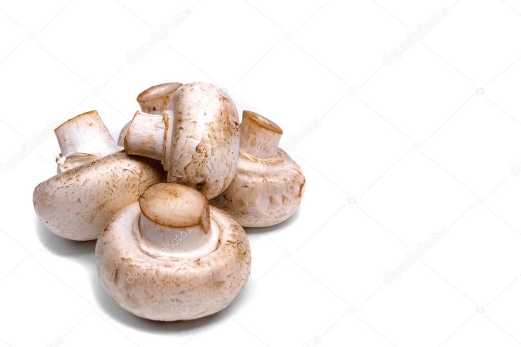 Fresh champignon mushrooms isolated on a white background