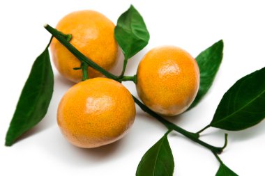 Beyaz arka plan üzerinde izole yaprak taze turuncu mandarine