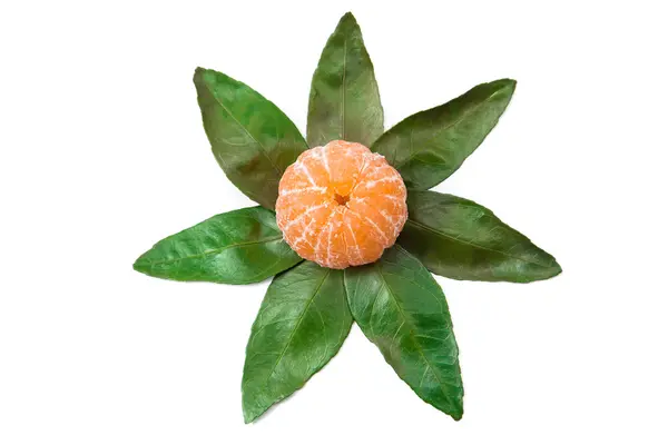 Świeży pomarańczowy mandarine z liść na białym tle — Zdjęcie stockowe