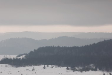 Güzel kış doğa manzarası. Katmanlı orman Dağları