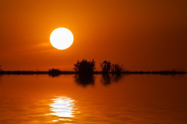 büyük güneş yansıtmak ağaçları ile su