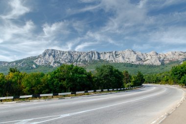 Dağlar tree yolu Kırım '. Doğa manzara