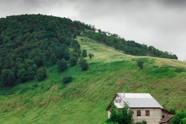 Forest yakınındaki tepede yalnız ev