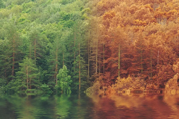 Verão a outono floresta de outono refletida no lago — Fotografia de Stock