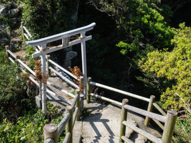 Japonya, Ashizuri Burnu 'ndaki Hakusan Domon doğal kemerine uzanan taş basamaklar ve torii kapıları.