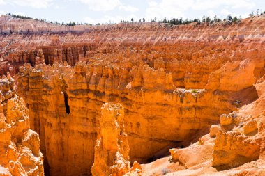 Bryce Canyon Ulusal Parkı 'ndaki kaya oluşumları Navajo Loop yolunda, Utah, ABD