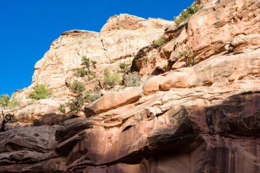 Capitol Gorge 'da gün batımı, Capitol Resif Ulusal Parkı - Utah, ABD