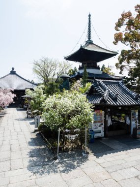 Komatsushima, Japonya - 4 Nisan 2018: Shikoku haccının 19 numaralı tapınağı Tatsueji 'de kiraz çiçekleri