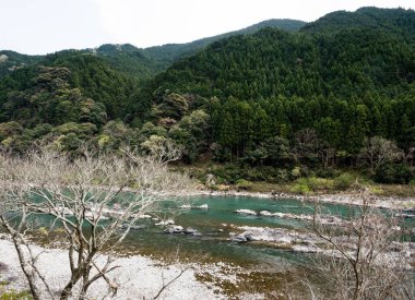 Tokushima ilindeki Naka Nehri, Japonya