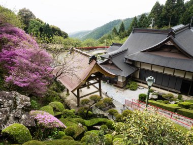 Kochi, Japonya - 6 Nisan 2018: Shikoku haccının 27 numaralı tapınağı Konomineji 'de bahar mevsimi