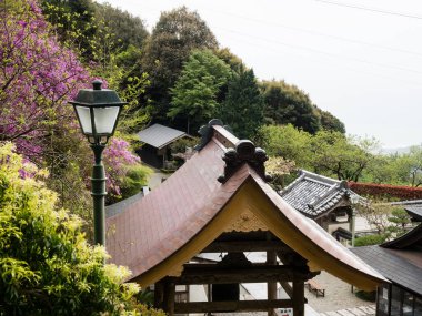 Kochi, Japonya - 6 Nisan 2018: Shikoku haccının 27 numaralı tapınağı Konomineji 'de bahar mevsimi