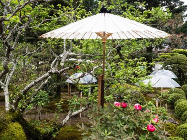 Nankoku, Kochi ili, Japonya - 6 Nisan 2018: Shikoku hac yolculuğunun 29 numaralı tapınağı olan Kokubunji 'de şemsiyelerle süslenmiş geleneksel Japon bahçesi