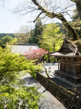 Seiyo, Ehime Bölgesi, Japonya - 9 Nisan 2018: Meisekiji 'de İlkbahar, Shikoku hac ibadetinin 43 numaralı tapınağı
