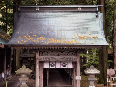 Chino, Nagano Bölgesi, Japonya - 22 Ekim 2017 Suwa Taisha Kamisha Honmiya, Suwa Grand Shrine kompleksi tapınaklarından biri