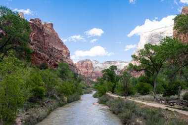 Zion Kanyonu 'ndan geçen Virgin nehri, Utah, ABD' deki Zion Ulusal Parkı 'nda.
