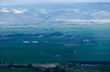 Doğu Washington tarım arazileri