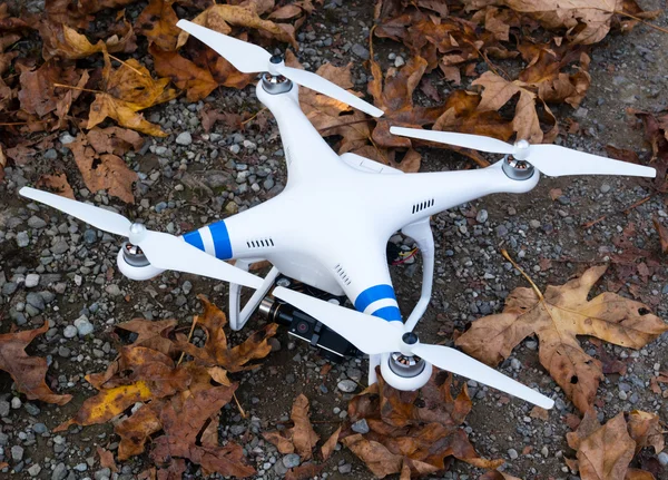 Fotoğraf dron amongs sonbahar yaprakları