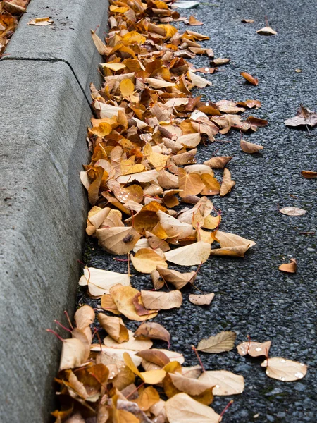 Hojas de otoño en la acera — Foto de Stock