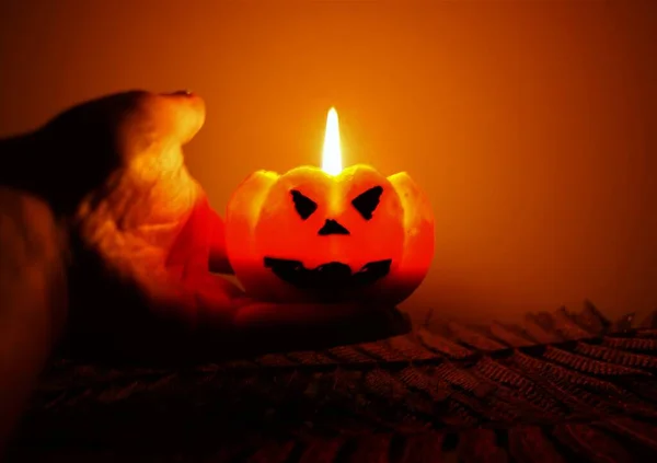 Halloween Svíčky Hlava Jack — Stock fotografie